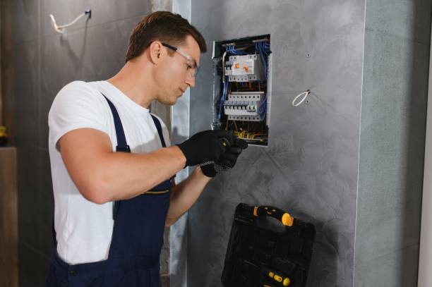 Best Electric Panel Repair  in Treasure Lake, PA